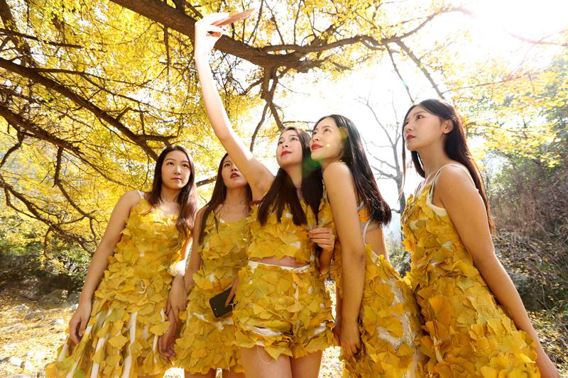 服装系女大学生树叶做成“土豪金”时装穿身上 千年银杏林里走猫步找灵感
